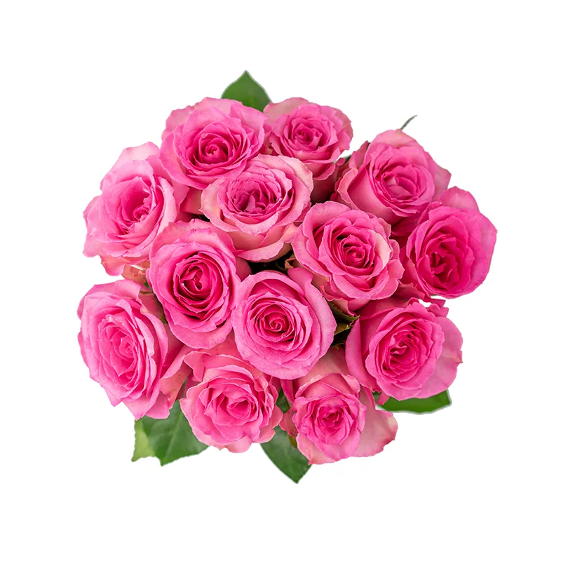 Букет из 13 розовых роз Свит Юнику (01163)