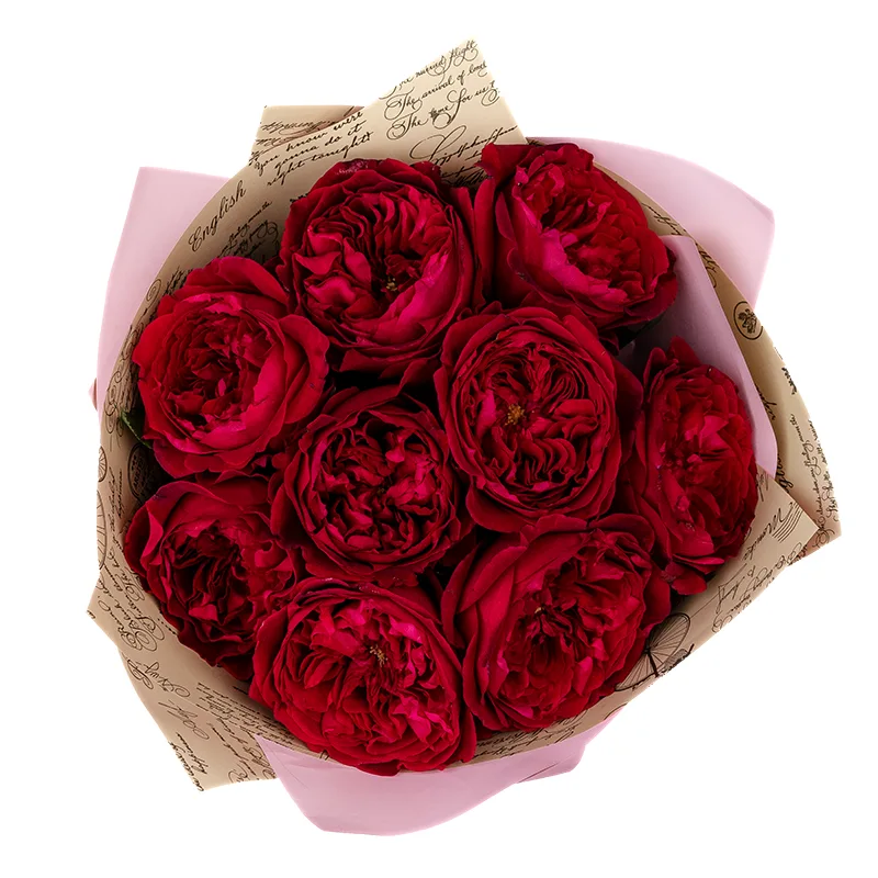 Букет из 9 красных садовых роз Дэвида Остина Тесс (01395)