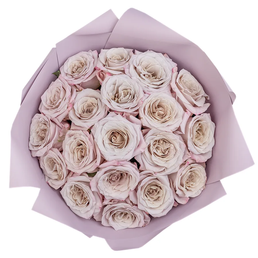 Букет из 19 серебристо-лавандовых садовых роз Мента (02562)