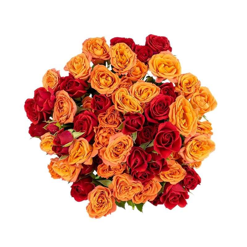 Букет из 9 оранжевых и красных кустовых роз (01660)