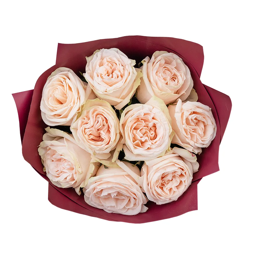 Букет из 9 кремово-розовых пионовидных роз Гарден Спирит (02923)