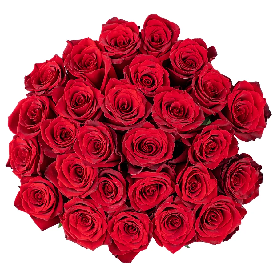 Букет из 27 тёмно-красных роз Эксплорер (02211)
