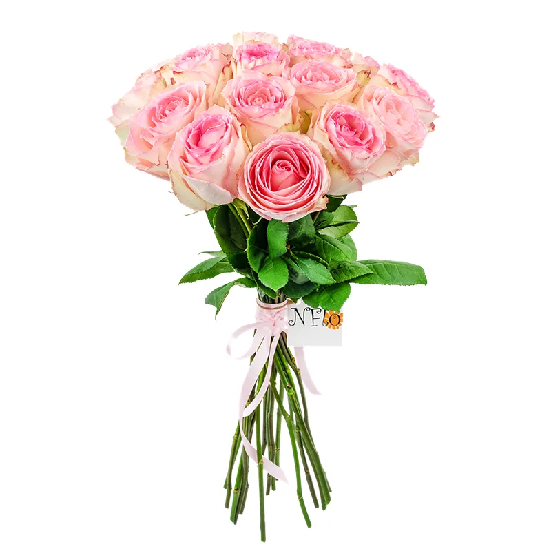 Букет из 19 розовых роз Эсперанс (01237)