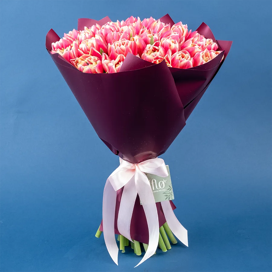 Букет из 35 красно-розовых с белой каймой махровых тюльпанов Колумбус (02197)