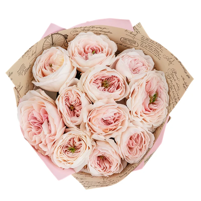 Букет из 11 нежно-розовых садовых роз Дэвида Остина Чарити (01508)