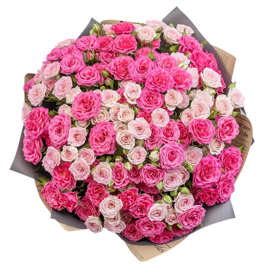 Букет из 23 розовых и малиновых кустовых роз Креми Твистер и Лиана (02486)