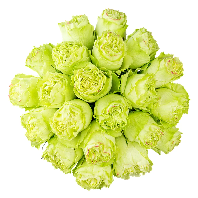 Букет из 21 нежно-салатовой розы Лимонад (01399)