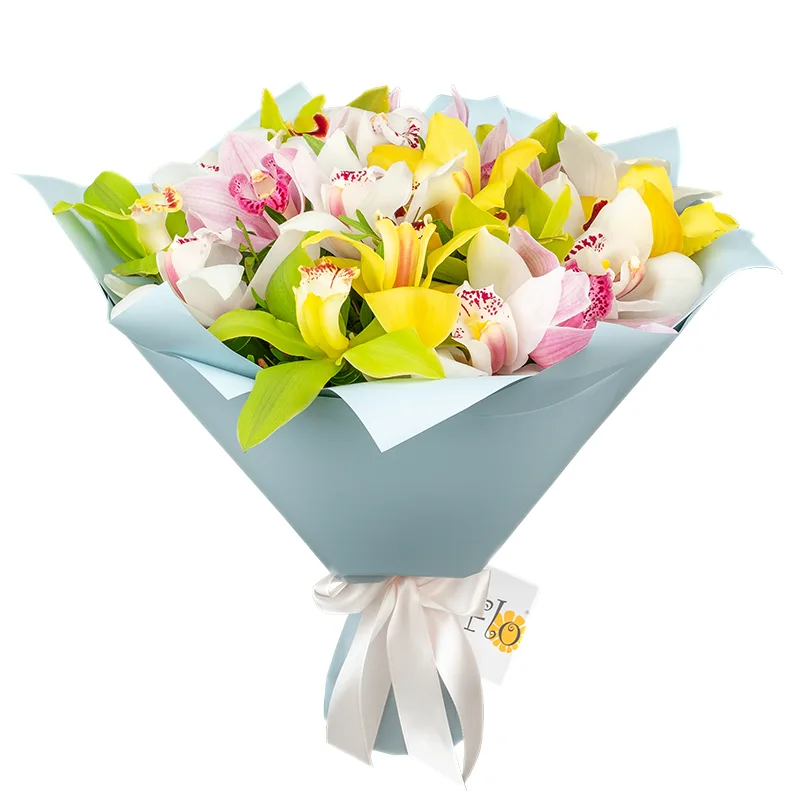 Букет из 19 разноцветных орхидей Цимбидиум (01201)