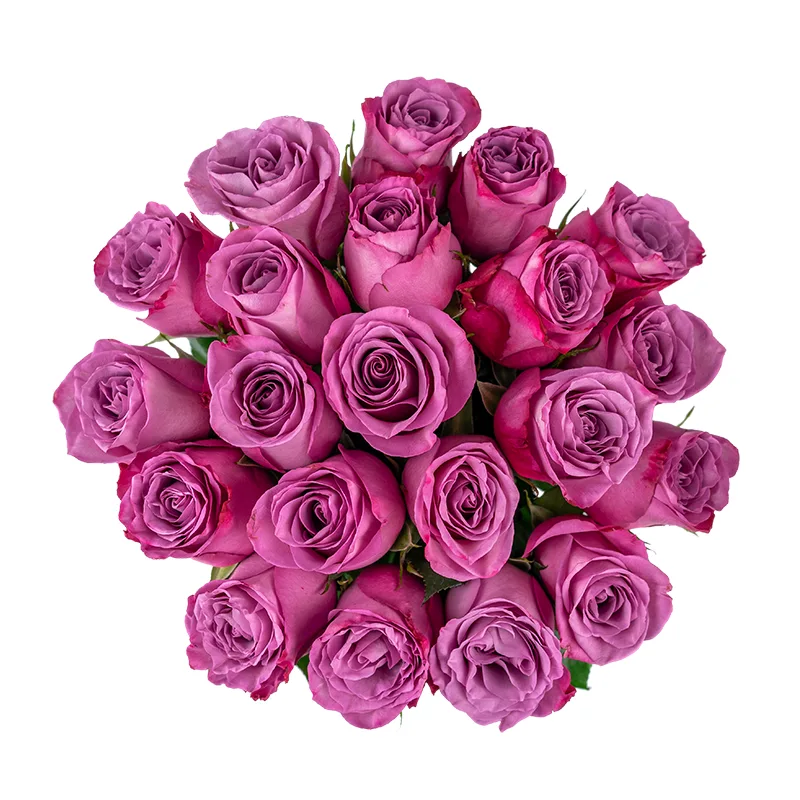 Букет из 21 фиолетовой розы Муди Блюз (01209)