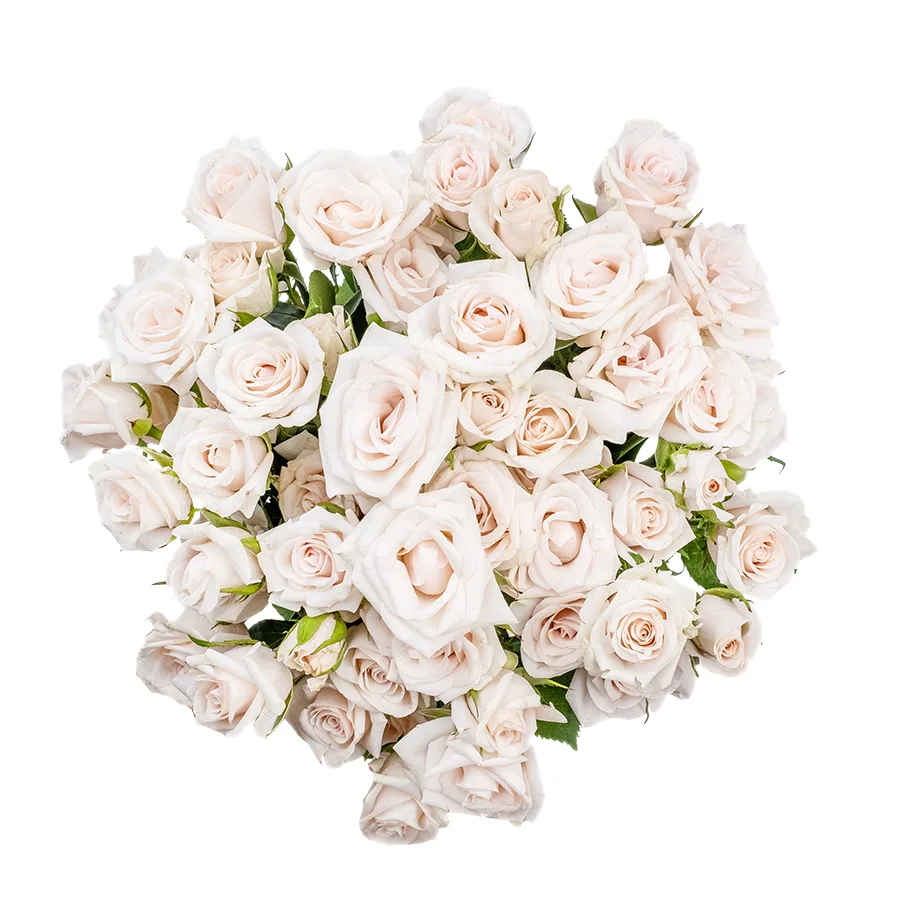 Букет из 9 бело-кремовых кустовых роз Роял Порцелина (02360)