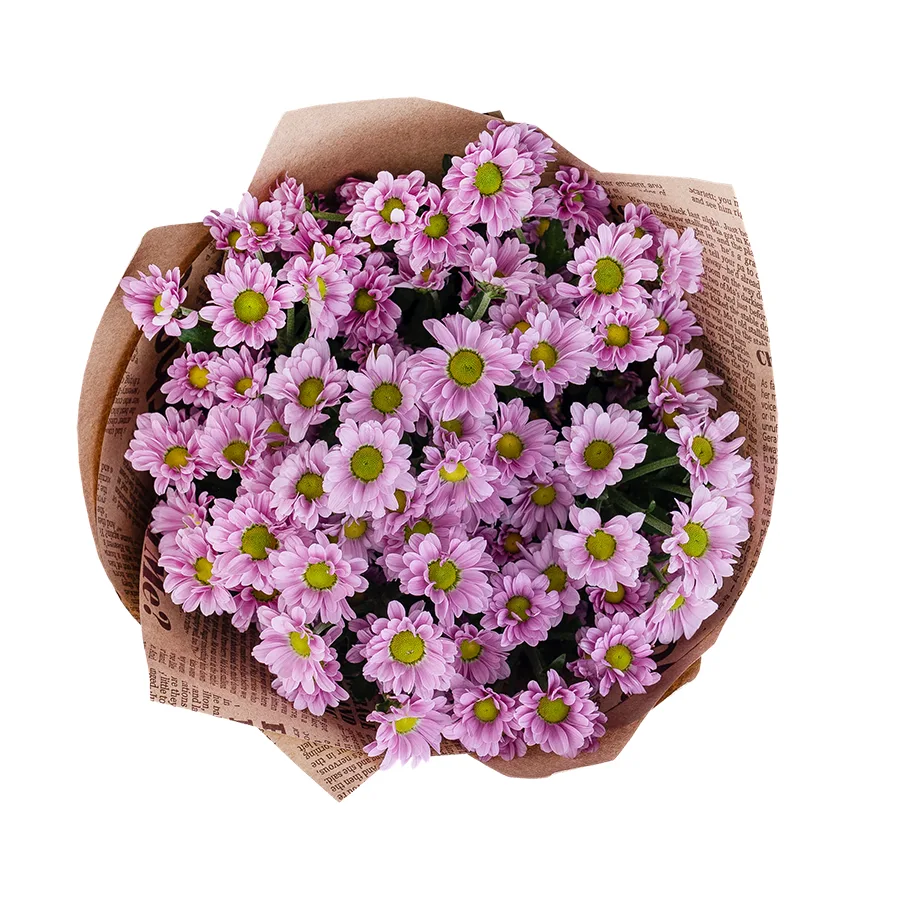 Букет из 9 розовых кустовых хризантем Сантини Крисси (02831)