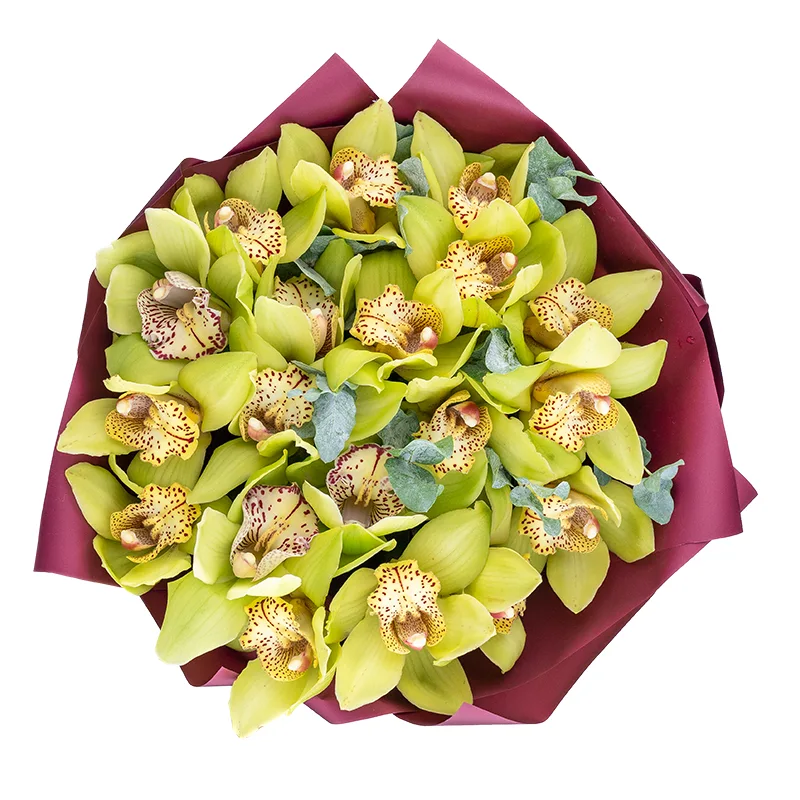 Букет из 19 зелёных орхидей Цимбидиум (01839)