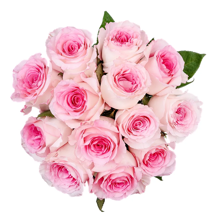 Букет из 13 бело-розовых роз Мандала (02665)