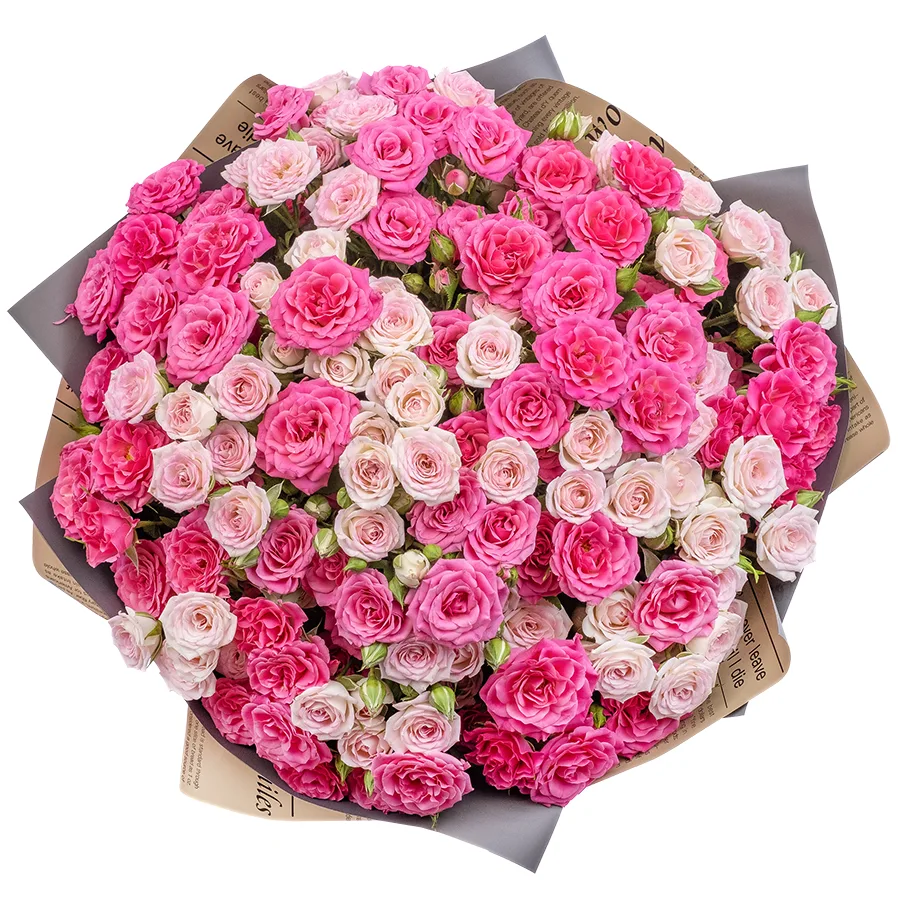Букет из 25 розовых и малиновых кустовых роз Креми Твистер и Лиана (02485)