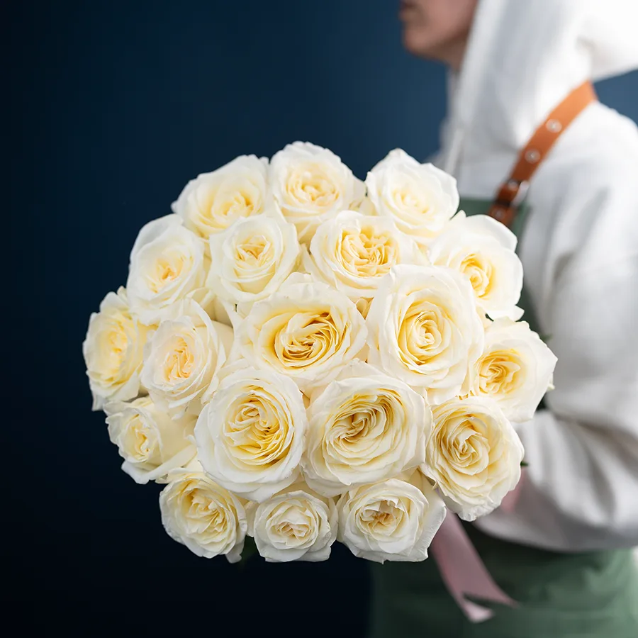 Букет из 19 бело-кремовых пионовидных роз Кэндллайт (03161)