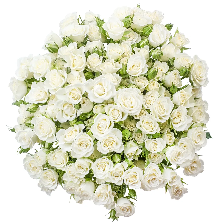 Букет из 29 белых кустовых роз Сноуфлейк (02121)