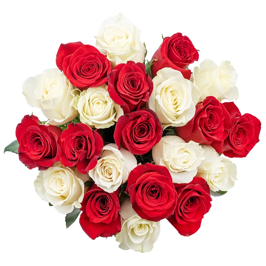 Букет из 21 красной и белой розы Фридом и Мондиаль (02217)