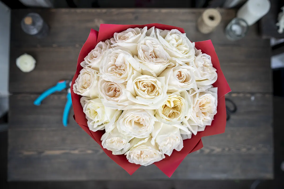 Букет из 15 ароматных белых садовых роз Вайт О’Хара в упаковке (01116)