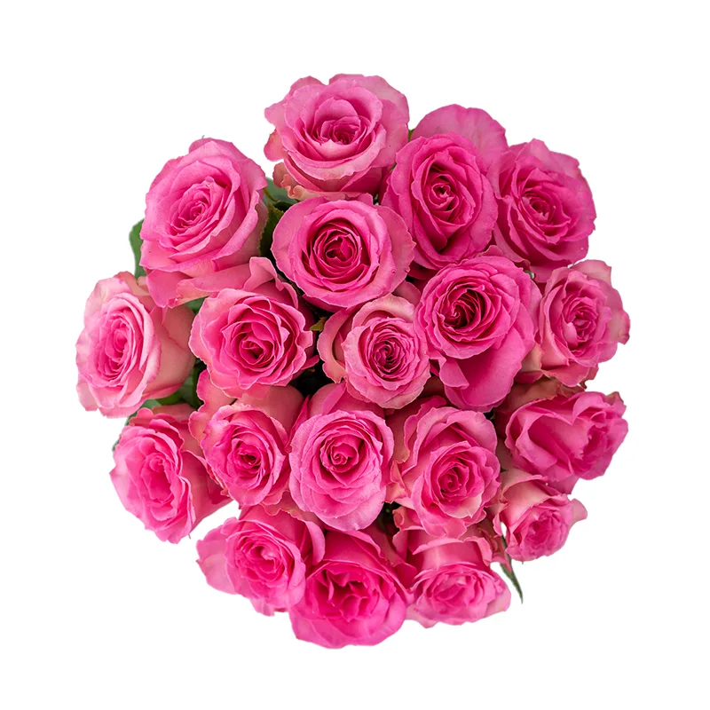 Букет из 19 розовых роз Свит Юнику (01160)