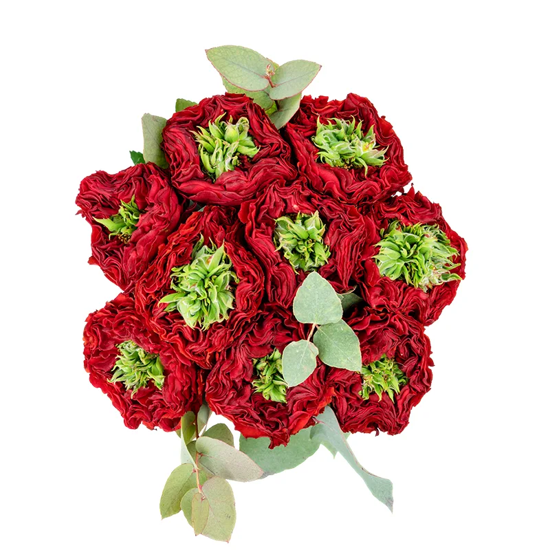 Букет из 9 красных с зеленым роз Ред Ай (01315)
