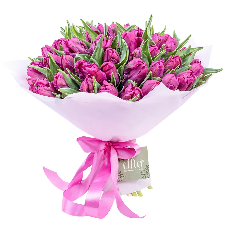 Букет из 47 фиолетовых попугайных тюльпанов Принц Пэррот (02173)