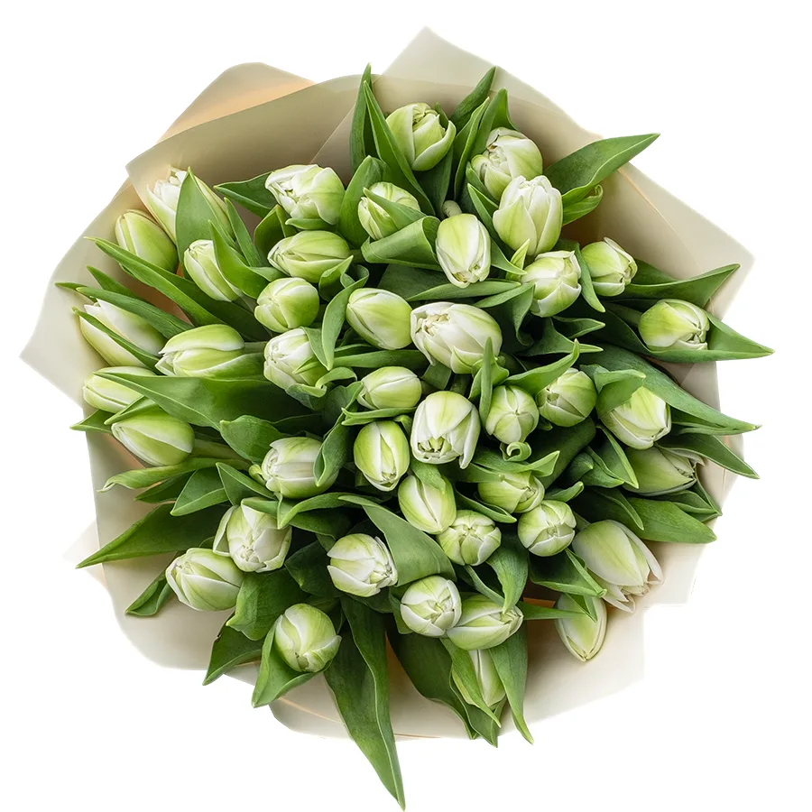 Букет из 41 белого махрового тюльпана Вайт Херт (02453)