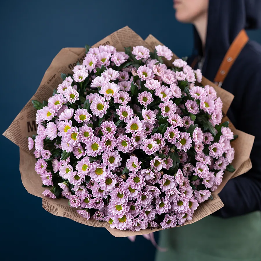 Букет из 25 нежно-розовых кустовых хризантем Сантини Росси Пинк (02833)