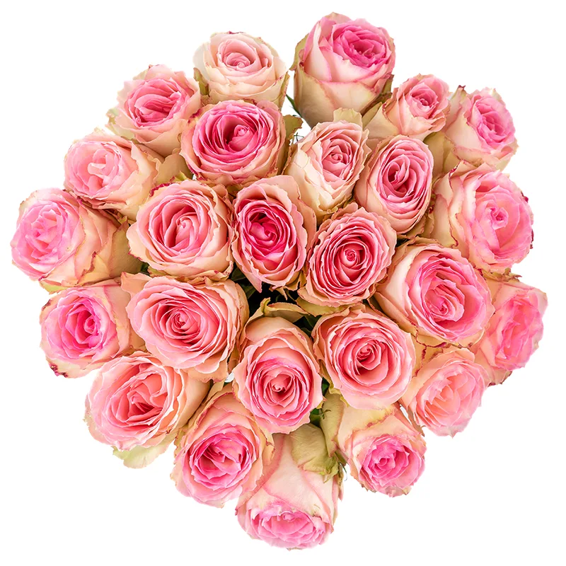 Букет из 25 розовых роз Эсперанс (01234)