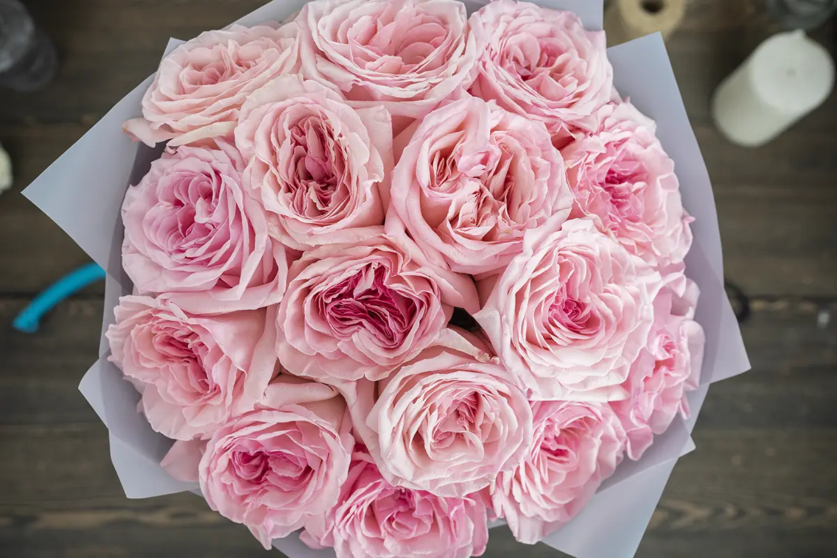 Букет из 15 ароматных розовых садовых роз Пинк О’Хара в упаковке (01115)