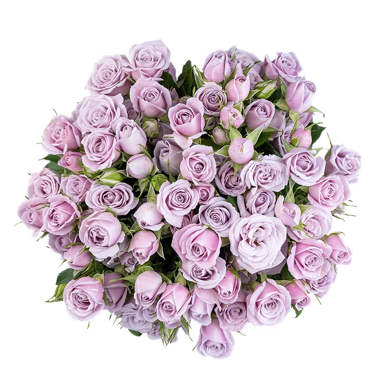 Букет из 17 нежно-сиреневых кустовых роз Сильвер Шадоу (01850)