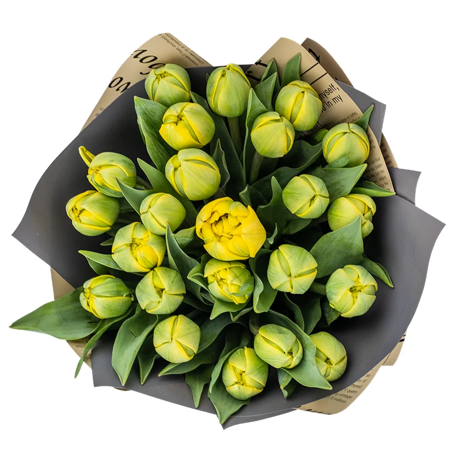Букет из 23 желтых махровых тюльпанов Йелоу Помпонет (02445)