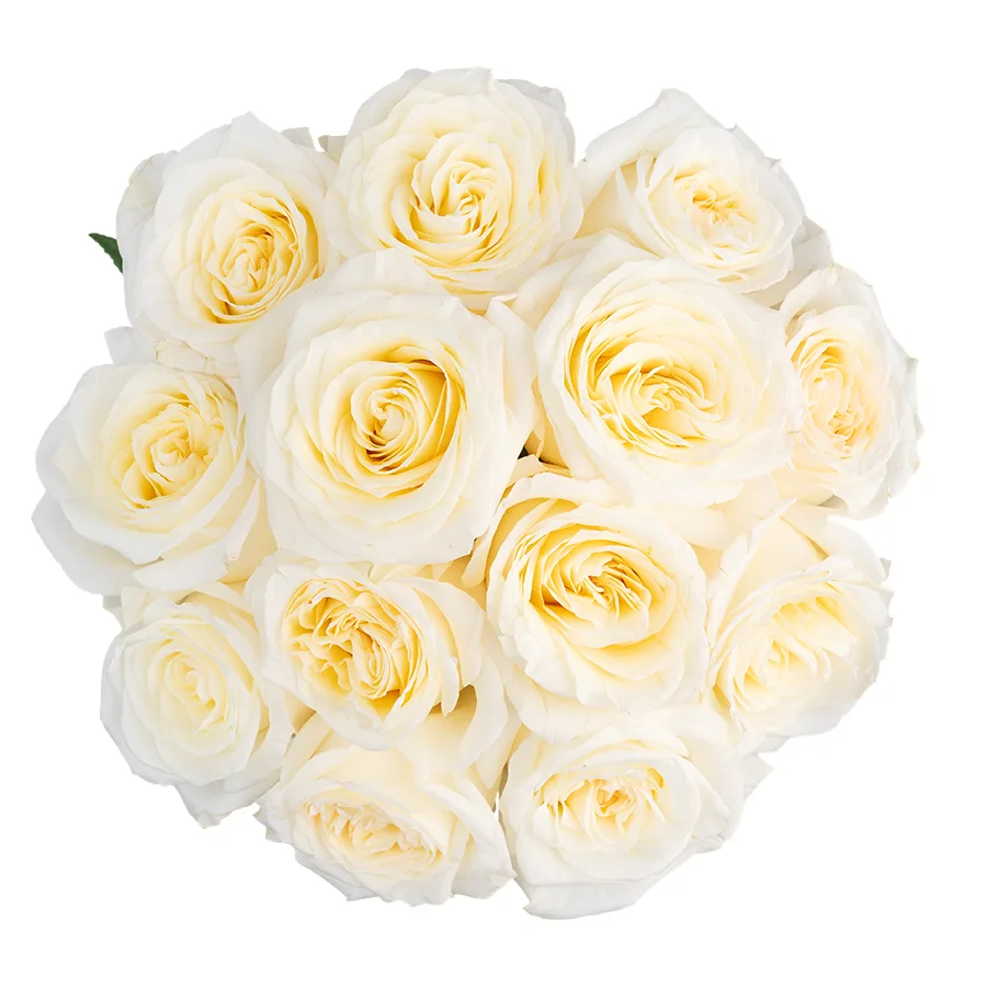Букет из 15 бело-кремовых пионовидных роз Кэндллайт (03163)
