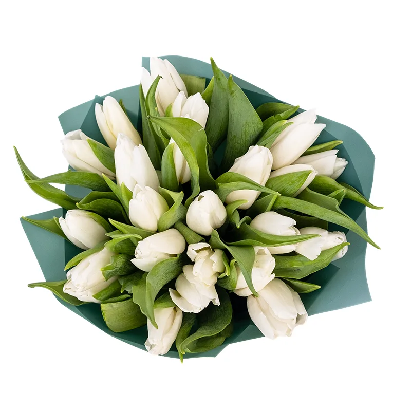 Букет из 23 белых тюльпанов (01909)