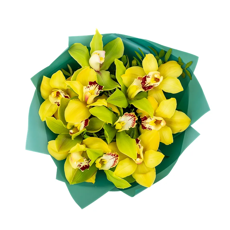 Букет из 11 зелёных и жёлтых орхидей Цимбидиум (01193)