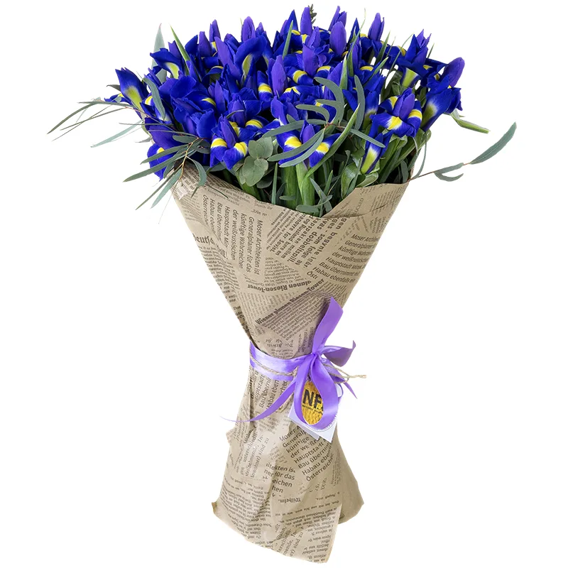Букет из 35 фиолетово-синих ирисов Блю Мэйджик (00745)