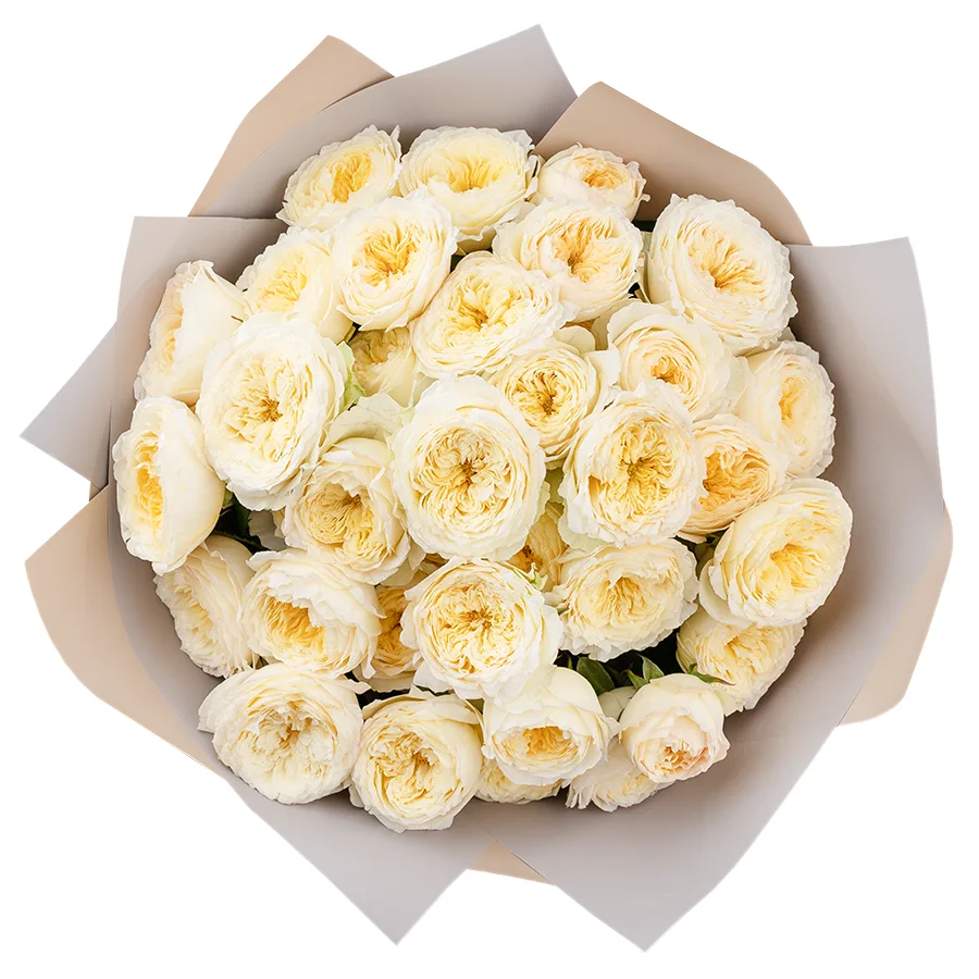 Букет из 13 светло-кремовых кустовых пионовидных роз Роял Парк (02737)