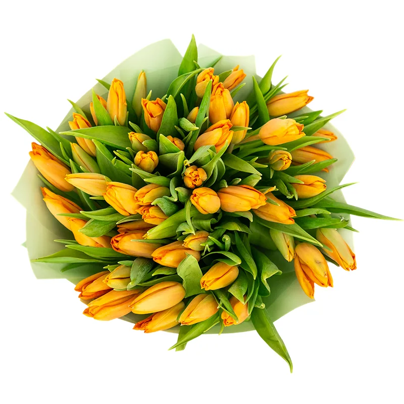 Букет из 49 оранжевых тюльпанов (01960)