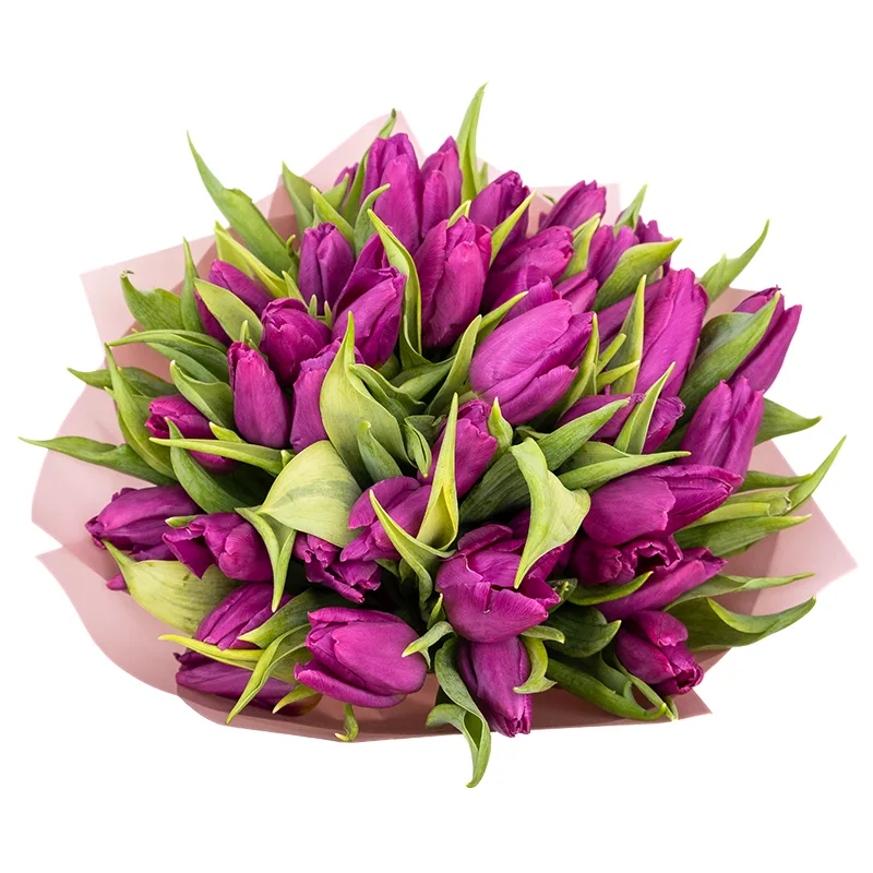 Букет из 43 фиолетовых тюльпанов (01915)