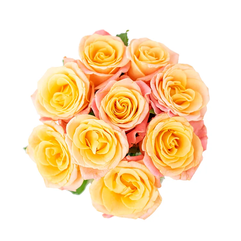 Букет из 9 нежных лососево-розовых роз Мисс Пигги (01135)