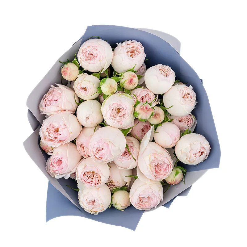 Букет из 7 нежно-розовых кустовых пионовидных роз Мансфилд Парк (01320)