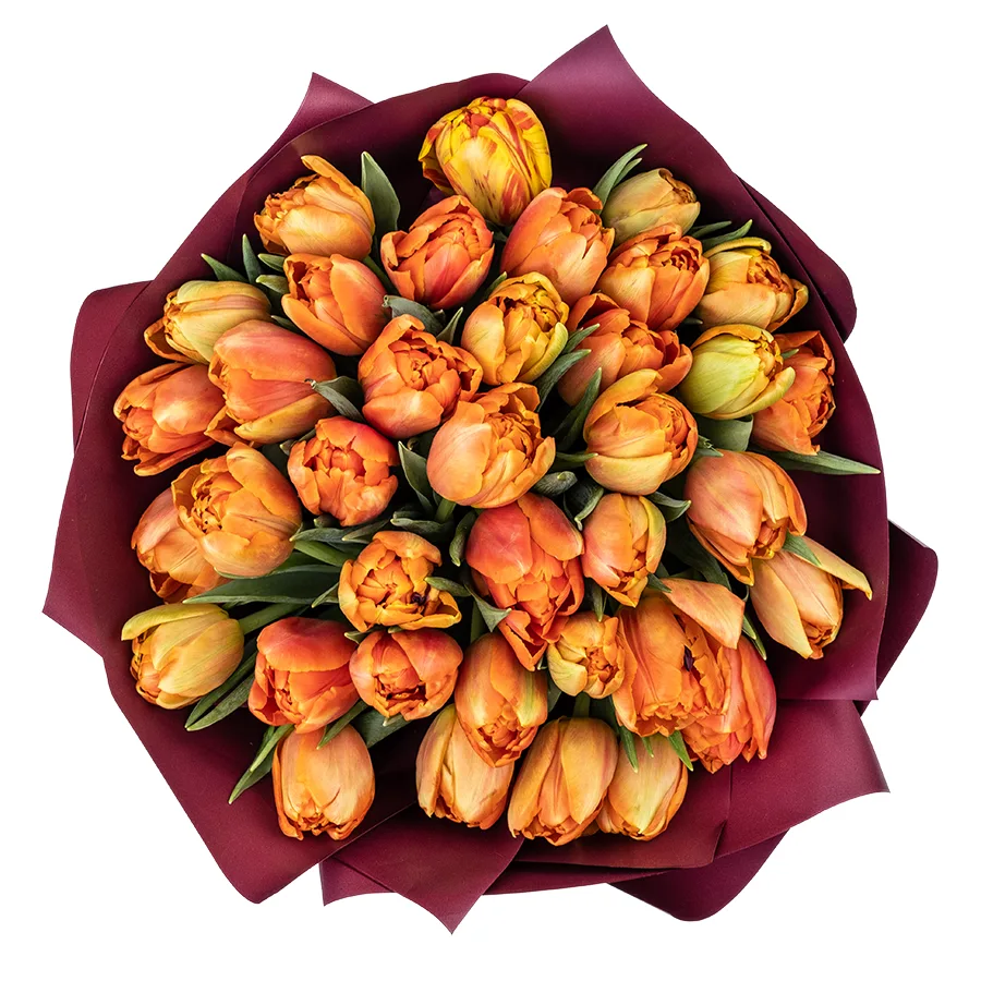 Букет из 37 оранжевых махровых тюльпанов Айкун (02299)