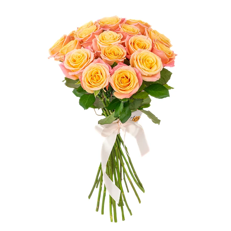 Букет из 19 нежных лососево-розовых роз Мисс Пигги (01133)