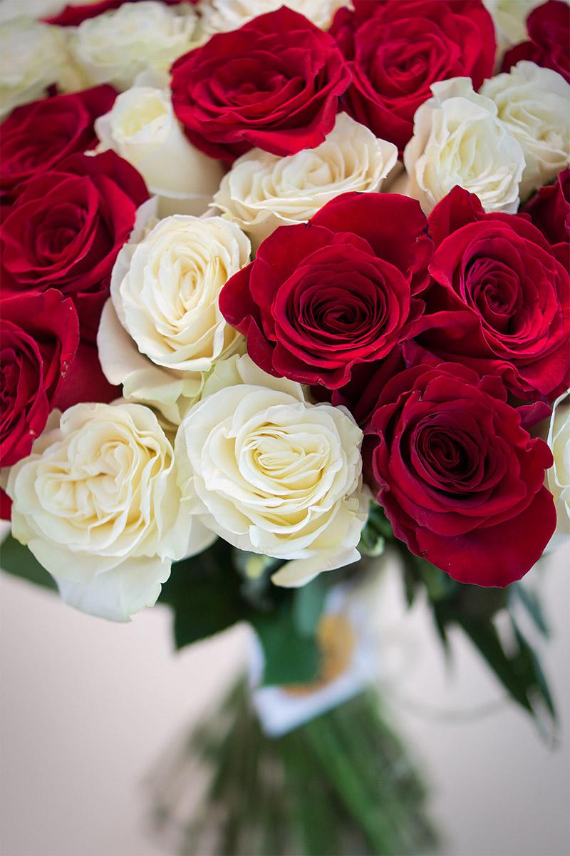 Букет из 51 красной и белой розы Фридом и Мондиаль (00401)