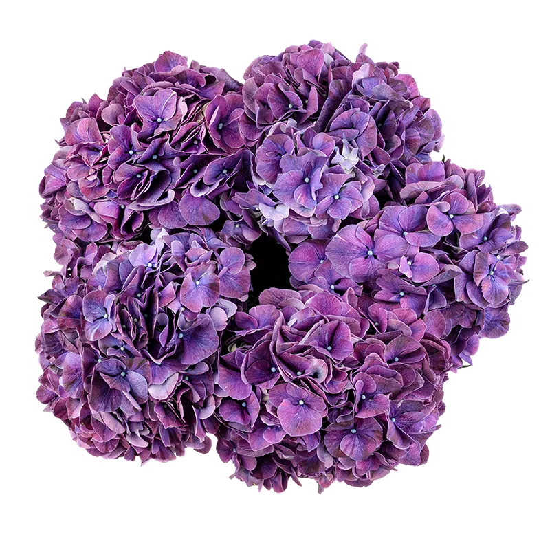 Букет из 5 фиолетовых гортензий Маг Пинк Руби (01573)