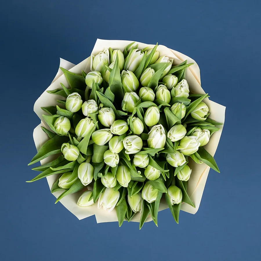 Букет из 45 белых махровых тюльпанов Вайт Херт (02451)