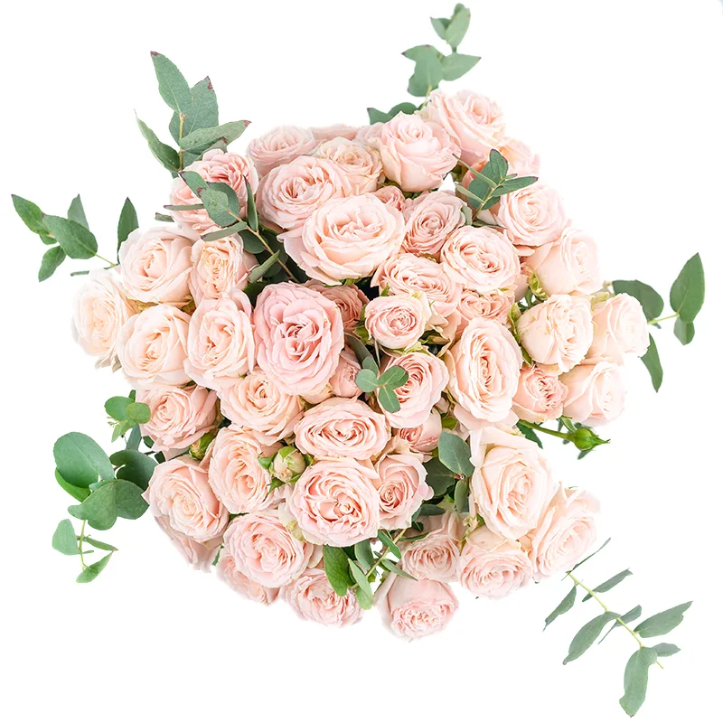 Букет из 13 розовых кустовых роз Бомбастик (01248)
