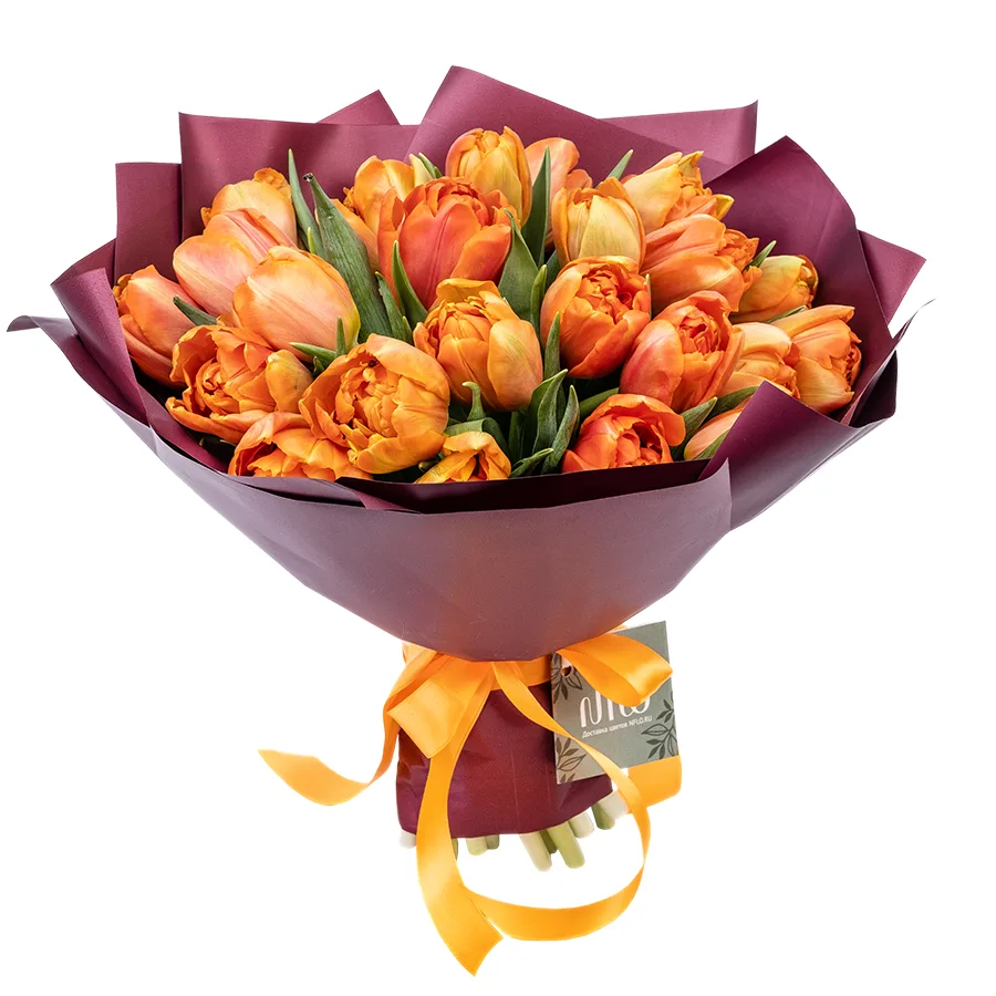 Букет из 25 оранжевых махровых тюльпанов Айкун (02305)