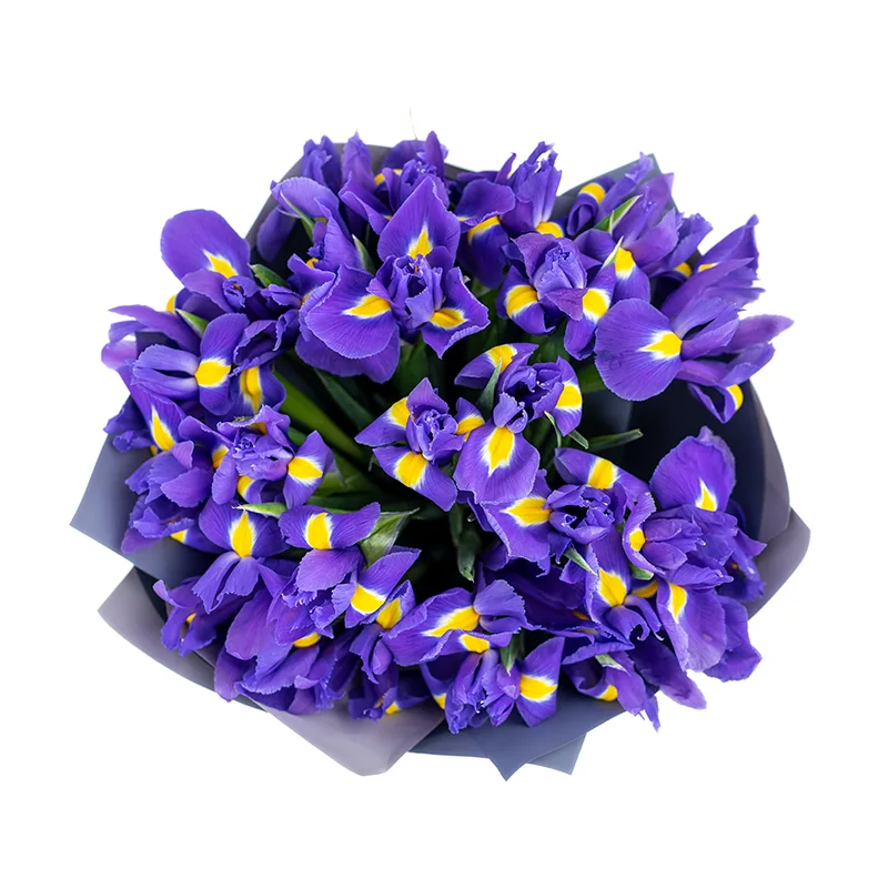 Букет из 23 фиолетово-синих ирисов Блю Мэйджик (01185)