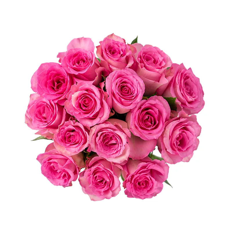 Букет из 15 розовых роз Свит Юнику (01162)