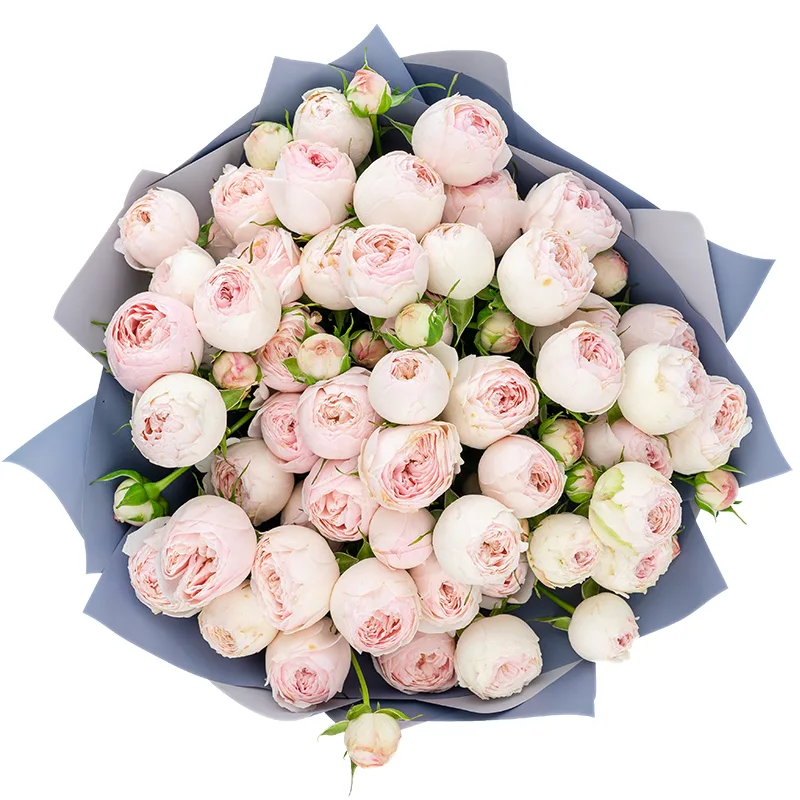 Букет из 13 нежно-розовых кустовых пионовидных роз Мансфилд Парк (01317)